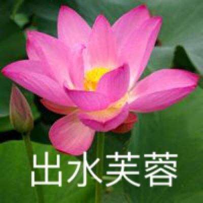末日控制器内购破解版下载